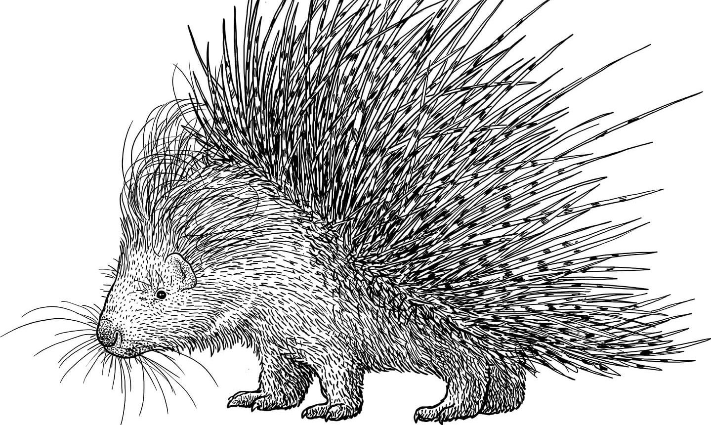 practice background image